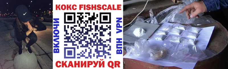 Купить  Завитинск  Кокаин FishScale 