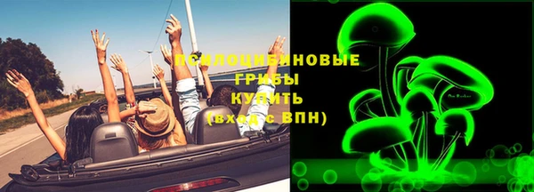 a pvp Инсар
