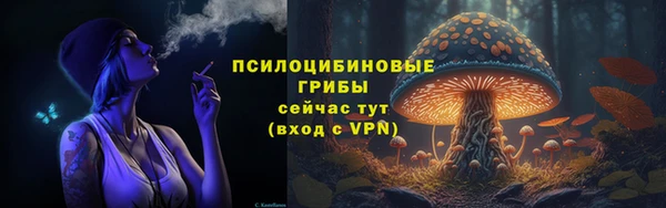 a pvp Инсар