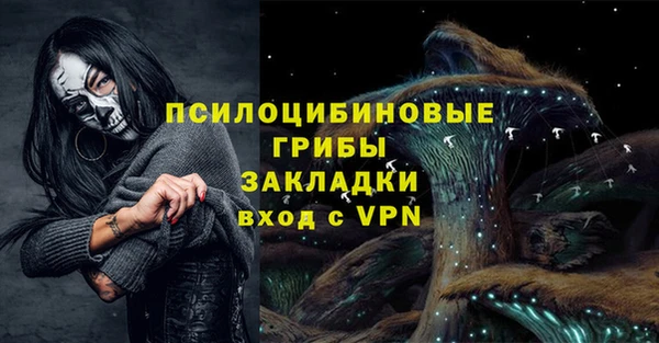 а пвп мука Инта